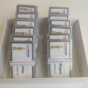 Synonyms Flashcards 12 sets of 30 cards